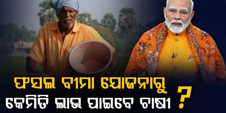ଫସଲ ବୀମା ଯୋଜନା : ଜାଣନ୍ତୁ କେମିତି ଲାଭ ପାଇବେ ଚାଷୀ