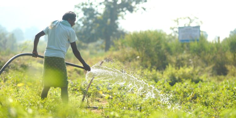 କଳାହାଣ୍ଡିର ୪୧ଟି ଗାଁ ର ୮୦୦ରୁ ଅଧିକ ଏକର ଜମିରେ ଜଳସେଚନ ସୁନିଶ୍ଚିତ କରିଛି ବେଦାନ୍ତ