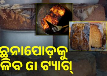 ନୟାଗଡ଼ ଛେନାପୋଡ଼କୁ ମିଳିବ GIଟ୍ୟାଗ୍