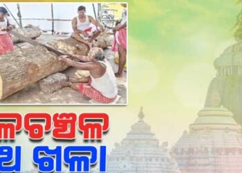 ଜୋରଦାର ଚାଲିଛି ରଥ କାମ