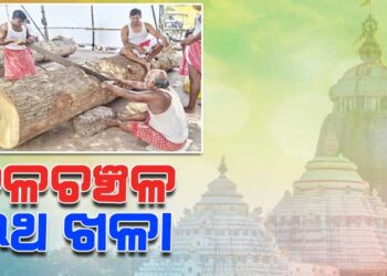 ଆରମ୍ଭ ହେଲା ରଥ ନିର୍ମାଣ କାମ