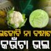 ଫୁଲକୋବି ନା ବନ୍ଧାକୋବି, ଜାଣନ୍ତୁ କେଉଁ କୋବିରେ ଅଧିକ ଭିଟାମିନ?