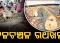 ଘୋଷଯାତ୍ରା ପାଇଁ ଚଳଚଞ୍ଚଳ ରଥଖଳା