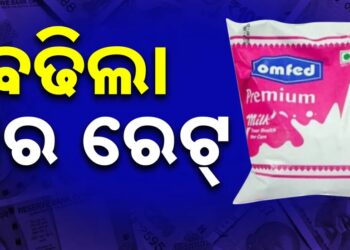 ବଢ଼ିଲା ଓମଫେଡ୍ କ୍ଷୀର ଦର