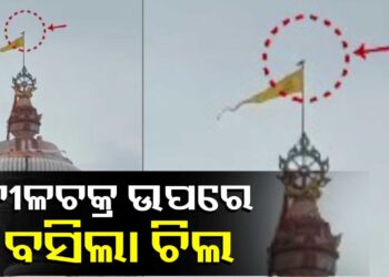 ଶ୍ରୀମନ୍ଦିର ନୀଳଚକ୍ର ଉପରେ ପୁଣି ବସିଲା ଚିଲ, କଣ ଦେଉଛି ସଂକେତ?