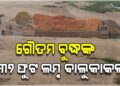 ଭଗବାନ ବୁଦ୍ଧଙ୍କ ବିରାଟକାୟ ବାଲୁକାକଳା