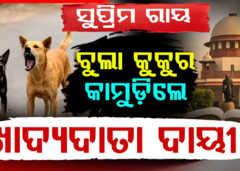 ବୁଲା କୁକୁରଙ୍କୁ ନେଇ ସୁପ୍ରିମକୋର୍ଟଙ୍କ ବଡ଼ ରାୟ