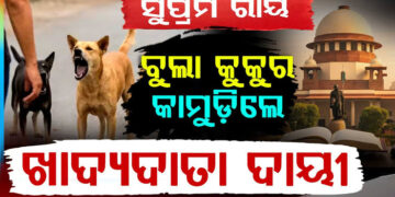ବୁଲା କୁକୁରଙ୍କୁ ନେଇ ସୁପ୍ରିମକୋର୍ଟଙ୍କ ବଡ଼ ରାୟ