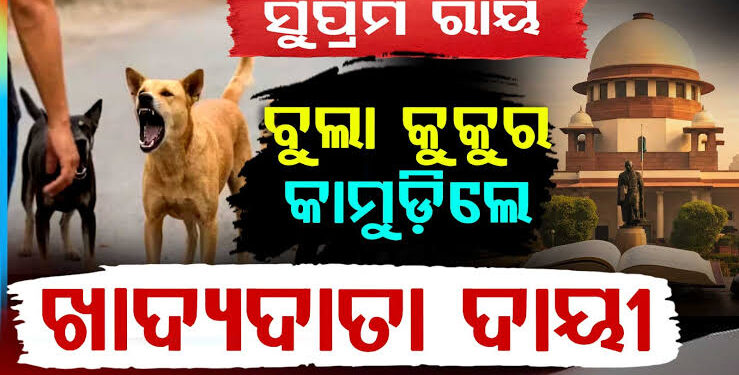 ବୁଲା କୁକୁରଙ୍କୁ ନେଇ ସୁପ୍ରିମକୋର୍ଟଙ୍କ ବଡ଼ ରାୟ