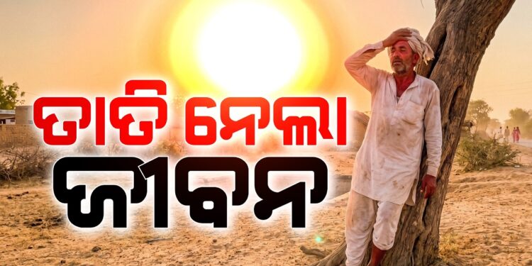 ଅଂଶୁଘାତ ନେଲା ୧୬ ଜୀବନ