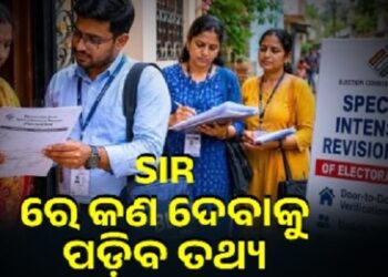 SIR: ଜାଣନ୍ତୁ ଆପଣଙ୍କୁ କଣ ପ୍ରଶ୍ନ ପଚାରିବେ BLO