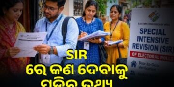 SIR: ଜାଣନ୍ତୁ ଆପଣଙ୍କୁ କଣ ପ୍ରଶ୍ନ ପଚାରିବେ BLO