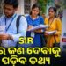SIR: ଜାଣନ୍ତୁ ଆପଣଙ୍କୁ କଣ ପ୍ରଶ୍ନ ପଚାରିବେ BLO