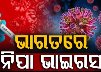 ଭାରତରେ ନିପା ଭାଇରସର ପ୍ରଥମ ମାମଲା