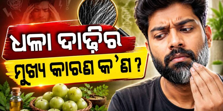 କାହିଁକି ଶୀଘ୍ର ପାଚେ ଦାଢ଼ି, ଜଣାନ୍ତୁ ଏହା ପଛର କାରଣ?