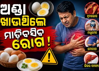 ଅଣ୍ଡା ଖାଉଥିଲେ ଜାଣିରଖ, ମାଡ଼ିବସିବ ଏହିସବୁ ରୋଗ