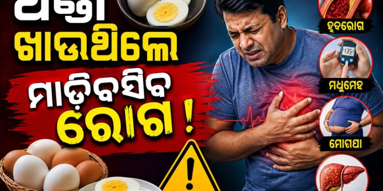 ଅଣ୍ଡା ଖାଉଥିଲେ ଜାଣିରଖ, ମାଡ଼ିବସିବ ଏହିସବୁ ରୋଗ