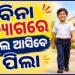 ବାର୍ଷିକ ୧୦ ଦିନ ବ୍ୟାଗ୍ବିହୀନ ସ୍କୁଲ ଆସିବେ ପିଲା