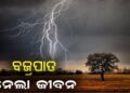 ବଜ୍ରପାତରେ ଜଣେ ମୃତ