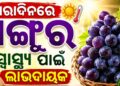 ଜାଣନ୍ତୁ ଖରା ଦିନରେ ଅଙ୍ଗୁର ଶରୀର ପାଇଁ କେତେ ଲାଭଦାୟକ?