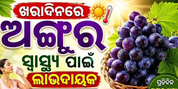 ଜାଣନ୍ତୁ ଖରା ଦିନରେ ଅଙ୍ଗୁର ଶରୀର ପାଇଁ କେତେ ଲାଭଦାୟକ?