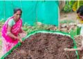 କଳାହାଣ୍ଡିରେ ଜୈବିକ କୃଷିକୁ ତ୍ୱରାନ୍ୱିତ କରିଛି ବେଦାନ୍ତ ଆଲୁମିନିୟମ