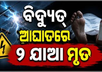 ବିଦ୍ୟୁତ୍‌ ଆଘାତରେ ୨ ଯାଆ ମୃତ