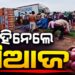 ଓଲଟିଲା ପିଆଜ ବୋଝେଇ ଟ୍ରକ, ଯିଏ ପାରିଲେ ବୋହିନେଲେ