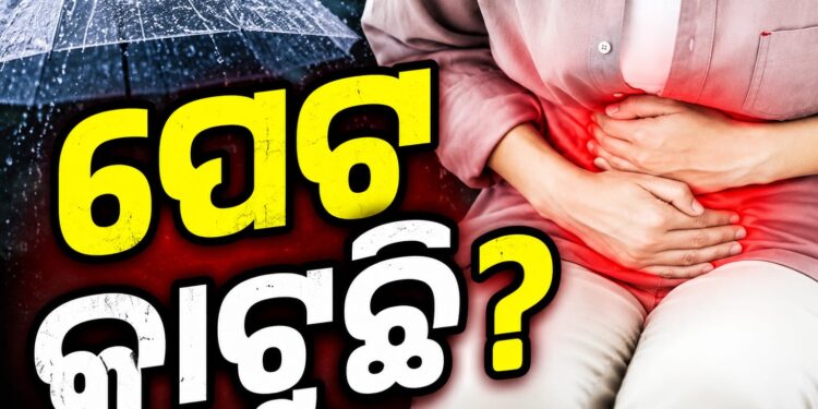 ବର୍ଷା ଦିନରେ କାଟୁଛି କି ପେଟ?