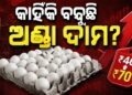 କାହିଁକି ବଢିଲା ଅଣ୍ଡା ଦାମ? ମନ୍ତ୍ରୀ ରଖିଲେ ଉତ୍ତର