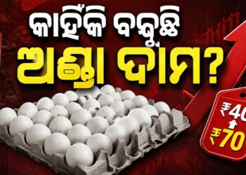 କାହିଁକି ବଢିଲା ଅଣ୍ଡା ଦାମ? ମନ୍ତ୍ରୀ ରଖିଲେ ଉତ୍ତର