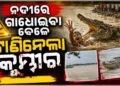 ଖରାସ୍ରୋତା ନଦୀରେ ଗାଧେଇଉଥିବା ବେଳେ ଟାଣି ନେଲା କୁମ୍ଭୀର