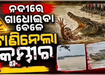 ଖରାସ୍ରୋତା ନଦୀରେ ଗାଧେଇଉଥିବା ବେଳେ ଟାଣି ନେଲା କୁମ୍ଭୀର