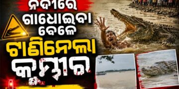 ଖରାସ୍ରୋତା ନଦୀରେ ଗାଧେଇଉଥିବା ବେଳେ ଟାଣି ନେଲା କୁମ୍ଭୀର