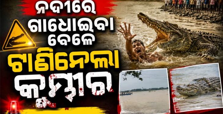 ଖରାସ୍ରୋତା ନଦୀରେ ଗାଧେଇଉଥିବା ବେଳେ ଟାଣି ନେଲା କୁମ୍ଭୀର