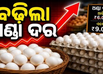 ଏଣିକି ଅଣ୍ଡା ଗୋଟାକୁ ୯ ଟଙ୍କା