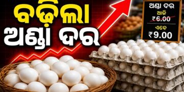 ଏଣିକି ଅଣ୍ଡା ଗୋଟାକୁ ୯ ଟଙ୍କା
