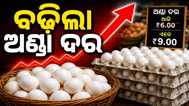 ଏଣିକି ଅଣ୍ଡା ଗୋଟାକୁ ୯ ଟଙ୍କା