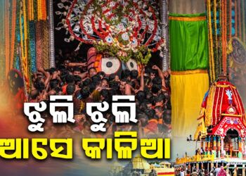 ଭକ୍ତଙ୍କୁ ରଥରୁ ଚାହିଁଛି କାଳିଆ
