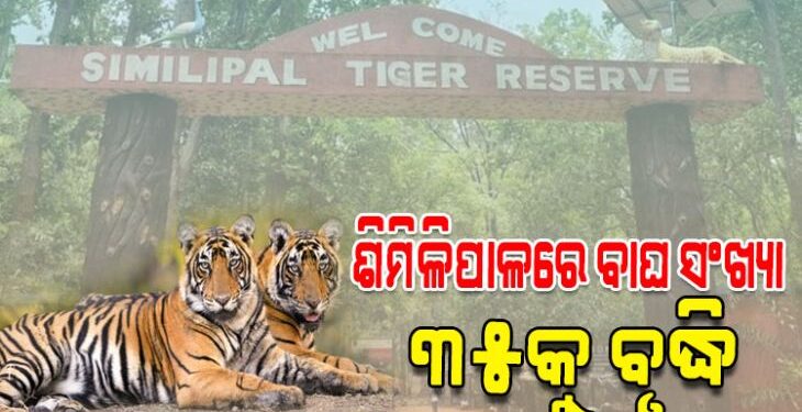 ଶିମିଳିପାଳ ଜାତୀୟ ଅଭୟାରଣ୍ୟରେ ବାଘ ସଂଖ୍ୟା ୩୫କୁ ବୃଦ୍ଧି