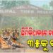 ଶିମିଳିପାଳ ଜାତୀୟ ଅଭୟାରଣ୍ୟରେ ବାଘ ସଂଖ୍ୟା ୩୫କୁ ବୃଦ୍ଧି