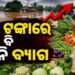 ବଜାରରେ ଏବେ ପରିବା ଦରରେ ଲାଗିଛି ନିଆଁ