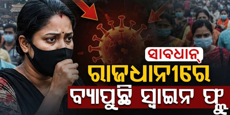 ରାଜଧାନୀରେ ବ୍ୟାପୁଛି ସ୍ୱାଇନ୍ ଫ୍ଲୁ, ଜାଣନ୍ତୁ ଏହା କାହିଁକି ମାରାତ୍ମକ
