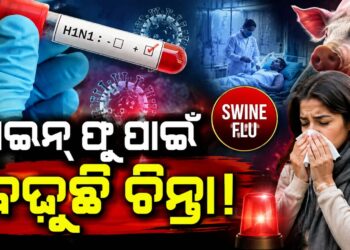 ଦେଶରେ ପୁଣିଥରେ ସ୍ୱାଇନ୍ ଫ୍ଲୁ ବଢ଼ାଇଲାଣି ଚିନ୍ତା