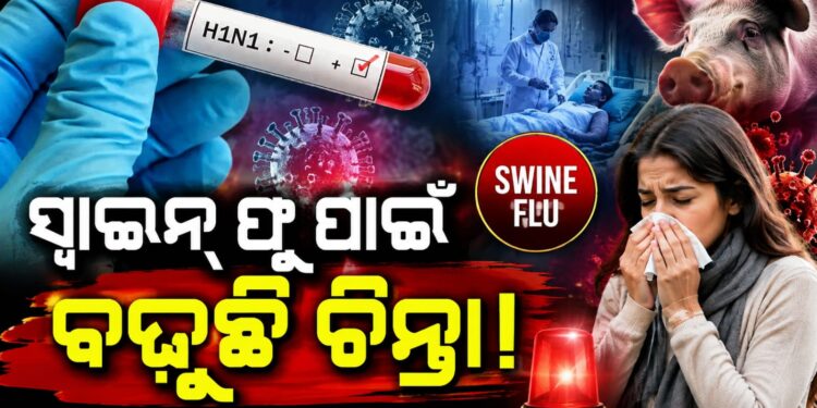 ଦେଶରେ ପୁଣିଥରେ ସ୍ୱାଇନ୍ ଫ୍ଲୁ ବଢ଼ାଇଲାଣି ଚିନ୍ତା