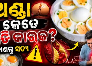ହୃତପିଣ୍ଡ ପାଇଁ ଅଣ୍ଡା କେତେ କ୍ଷତିକାରକ?