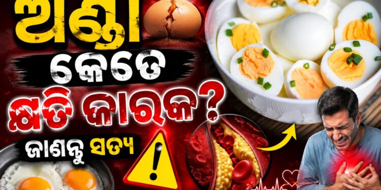 ହୃତପିଣ୍ଡ ପାଇଁ ଅଣ୍ଡା କେତେ କ୍ଷତିକାରକ?