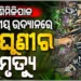 ଶିମିଳିପାଳ ଜାତୀୟ ଉଦ୍ୟାନରେ କଳା ବାଘୁଣୀର ମୃତ୍ୟୁ