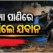 ବିଏସଏଫ୍ କ୍ୟାମ୍ପରେ ପଶିଲା ବନ୍ୟା ଜଳ