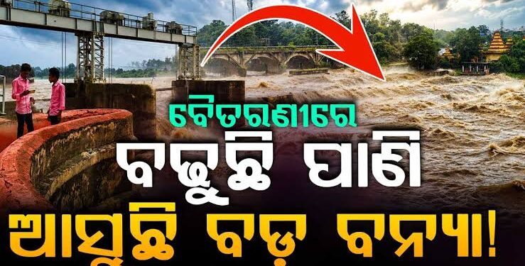ଲଗାଣ ବର୍ଷା ଯୋଗୁ ଫୁଲୁଛି ବୈତରଣୀ
